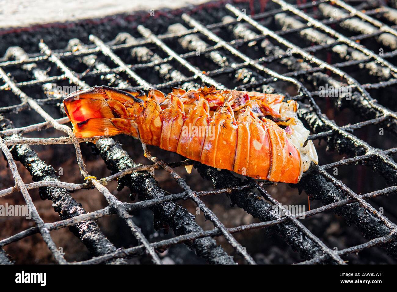 Giant grilled lobster cook on charcoal stove at Thai street food. Lobster fried on a grill on