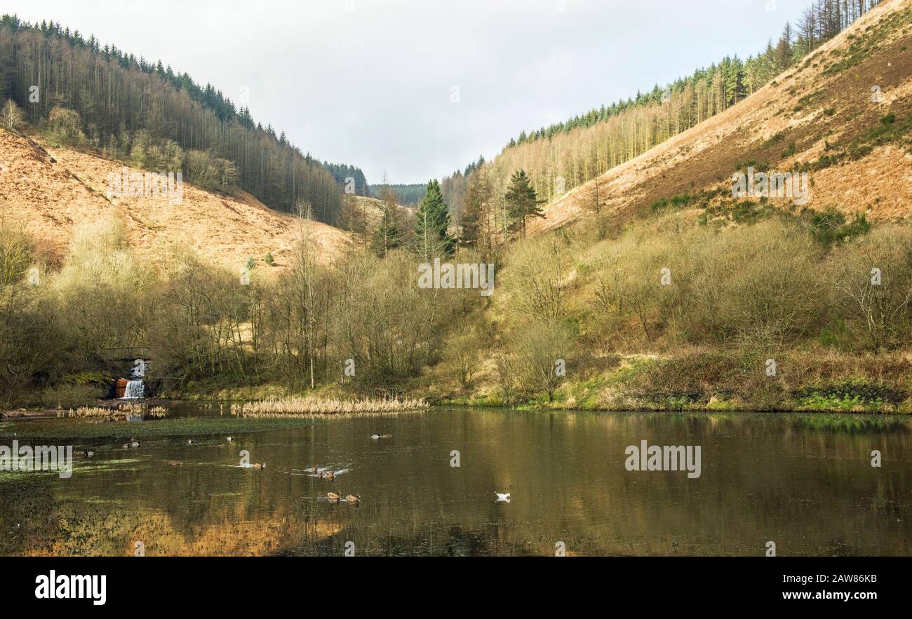 Upper clydach hires stock photography and images Alamy