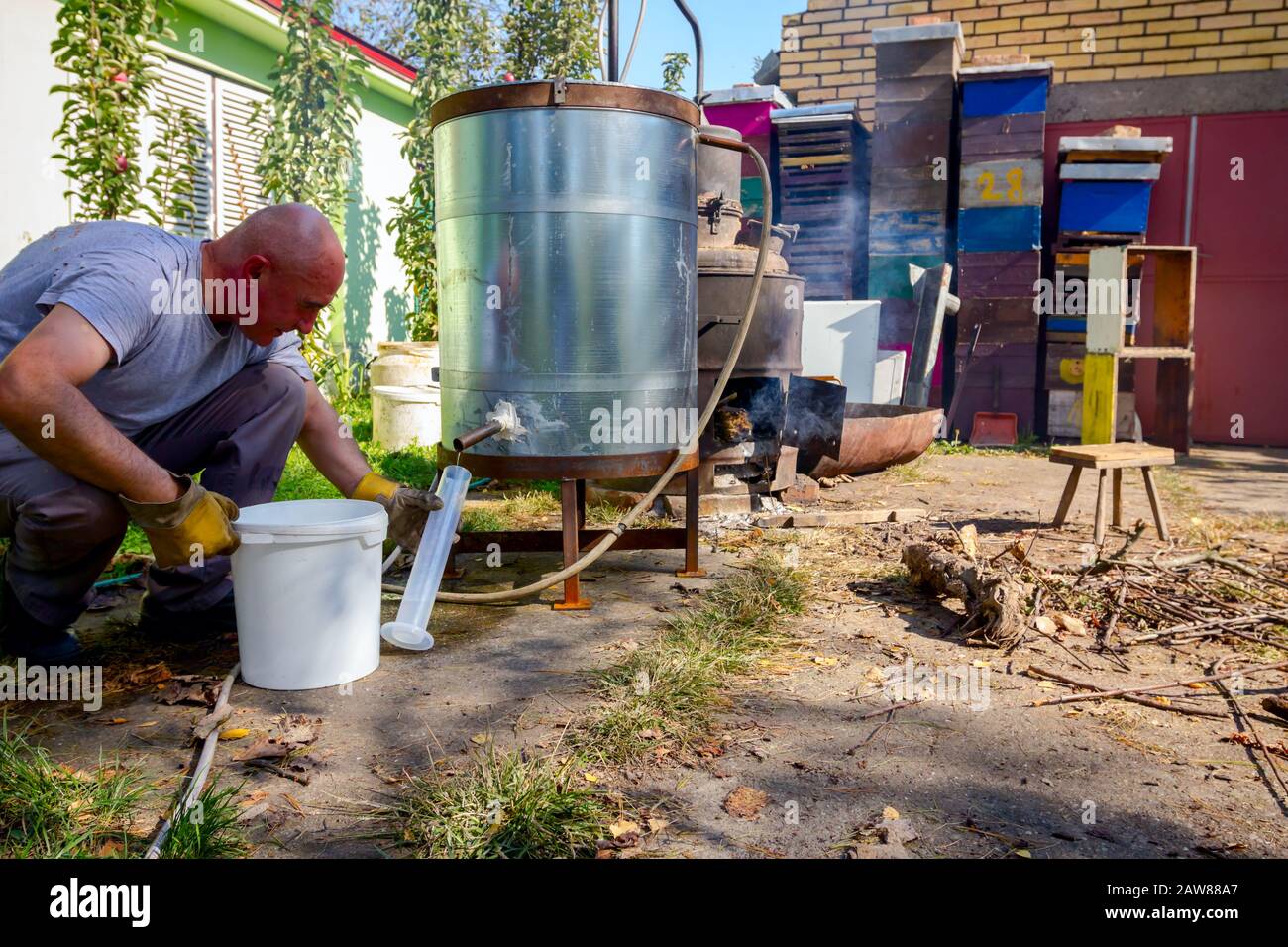 Man takes a sample of freshly distilllated liquor, alcohol in the ...