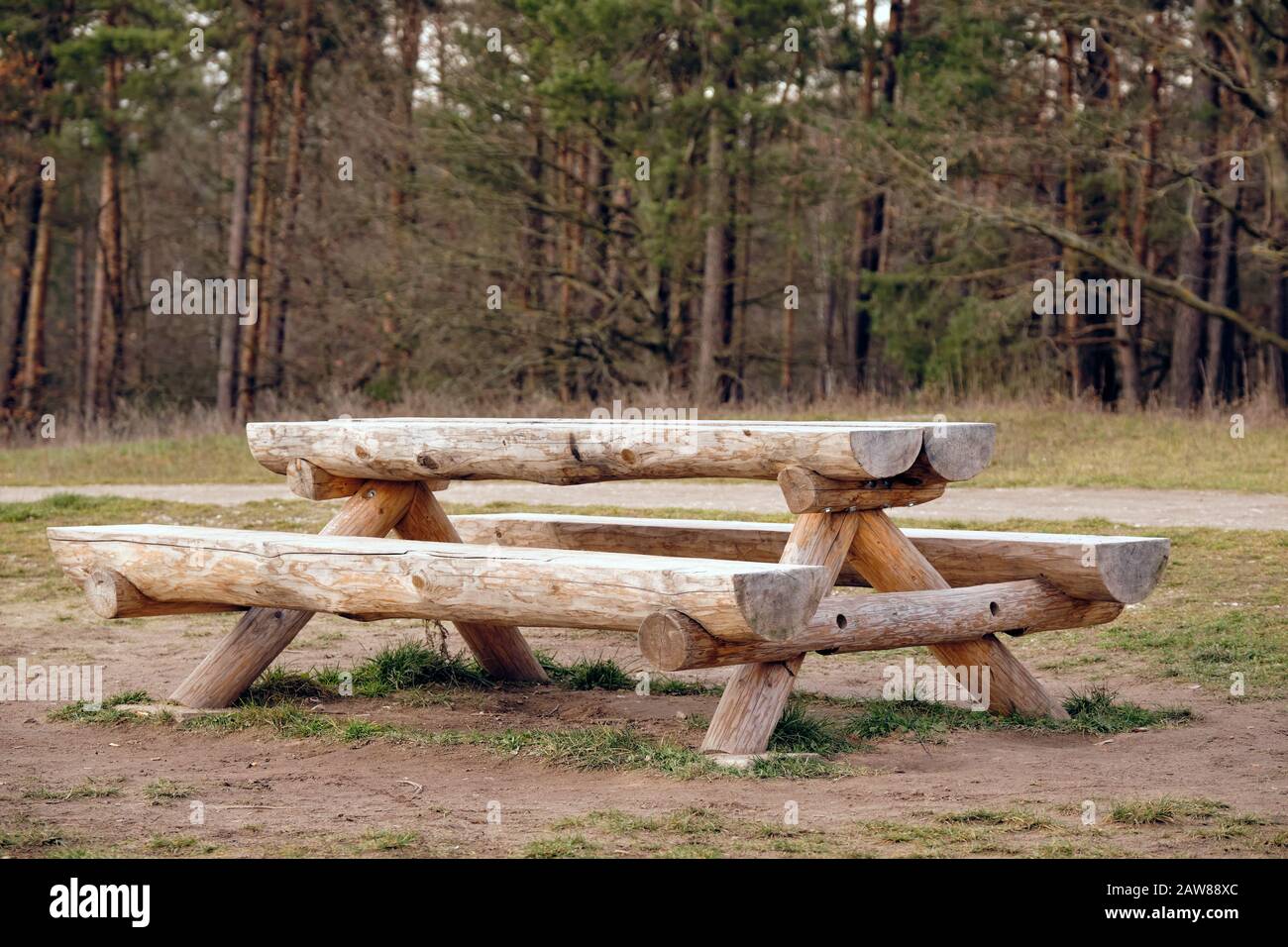 Rustic wooden bench and table combination made of tree trunks on a meadow in front of a forest. Seen in Germany in January Stock Photo