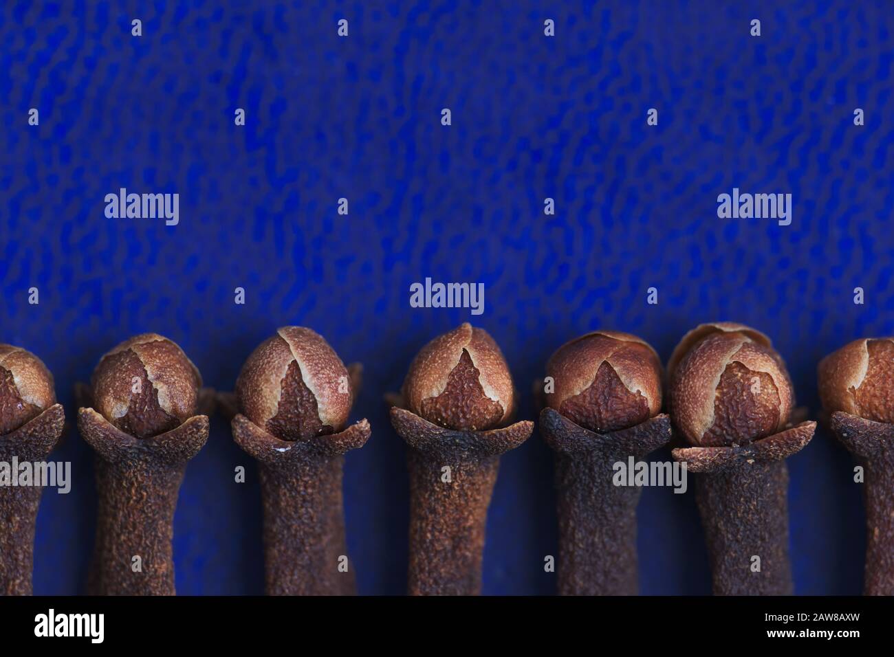 Macro photography of clove (Syzygium aromaticum) displayed in line on a blue background Stock Photo
