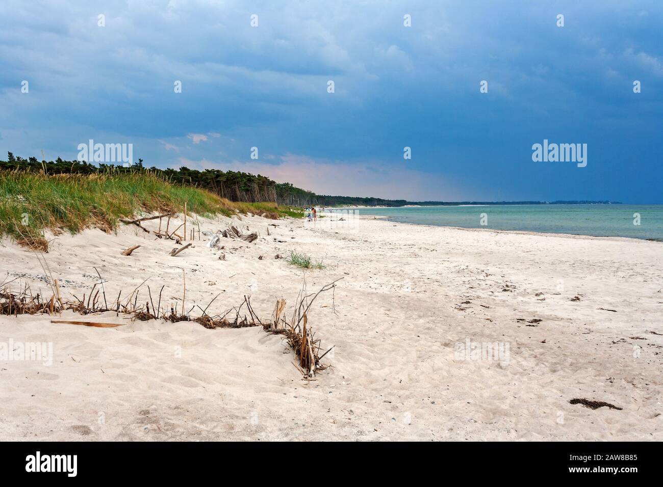 The famous Darsser Weststrand, peninsular FischlandDarssZingst
