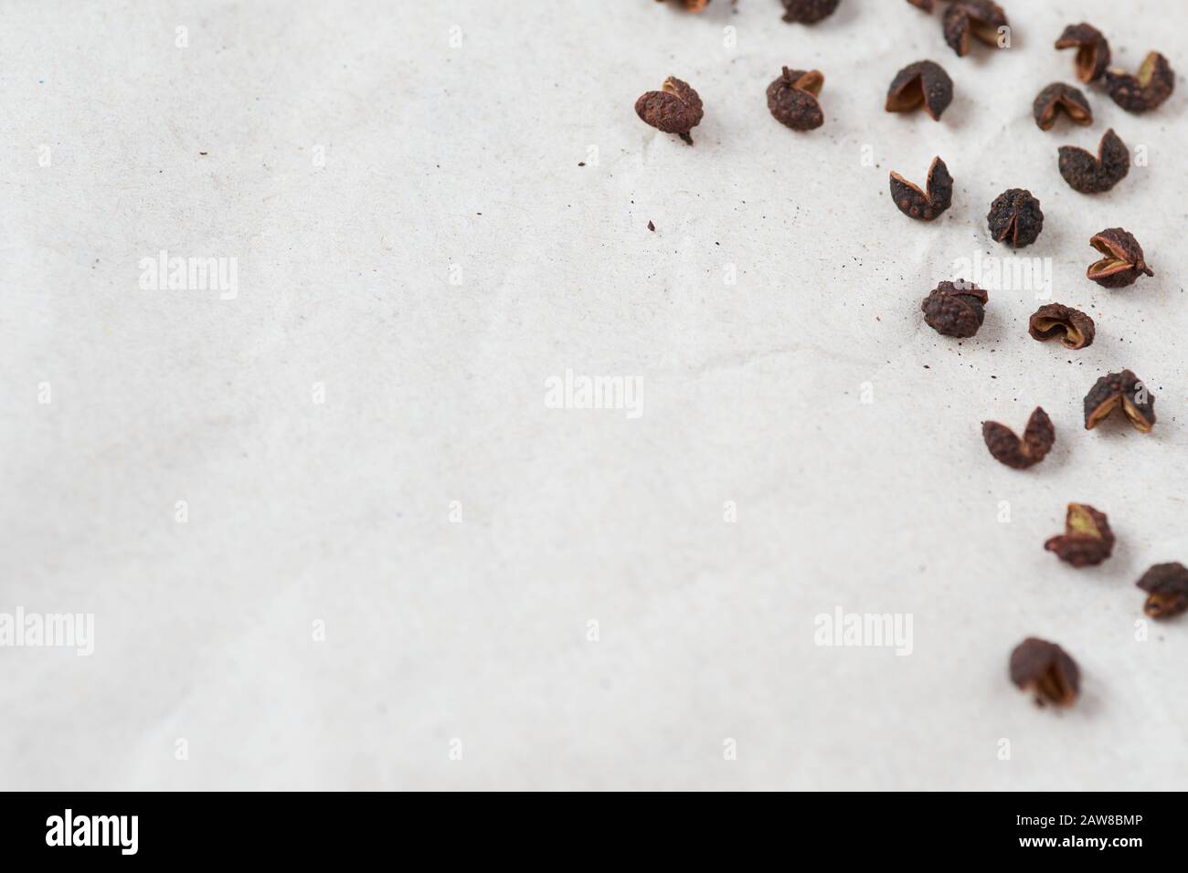 Macro photography of Timut pepper (Zanthoxylum armatum), from the same family as Sichuan Pepper. This spice delivers a very aromatic flavour close to Stock Photo
