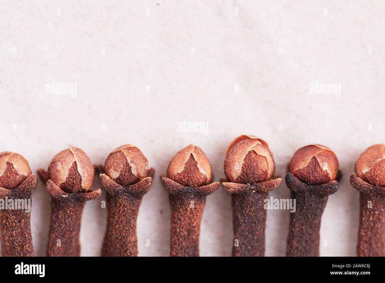 Macro photography of clove (Syzygium aromaticum) displayed in line on kraft paper Stock Photo
