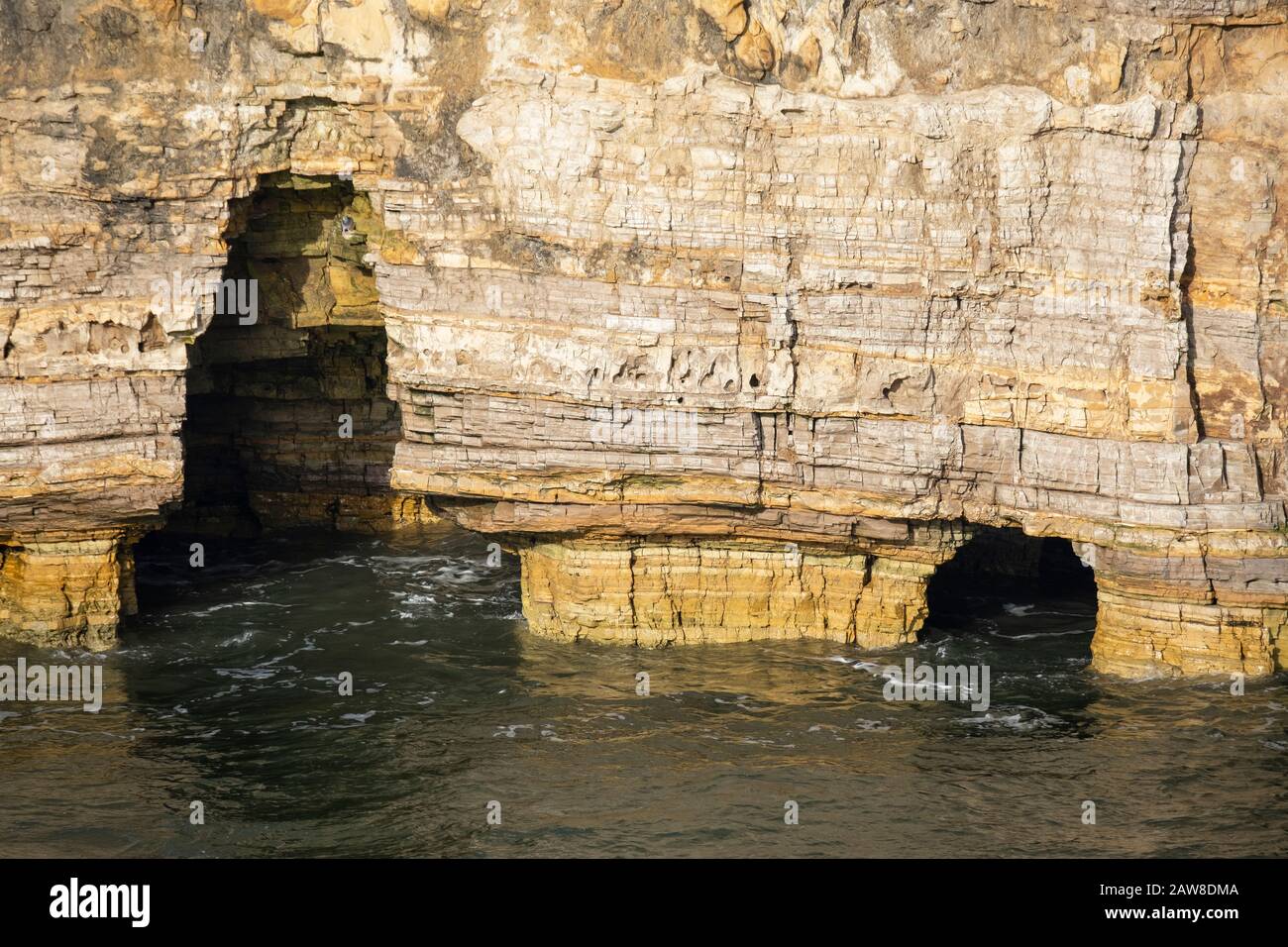 Sea caves at high tide at the heavily eroded periclase and magnesian limestone cliffs of Marsden Rock on the coast between Whitburn and South Shields Stock Photo