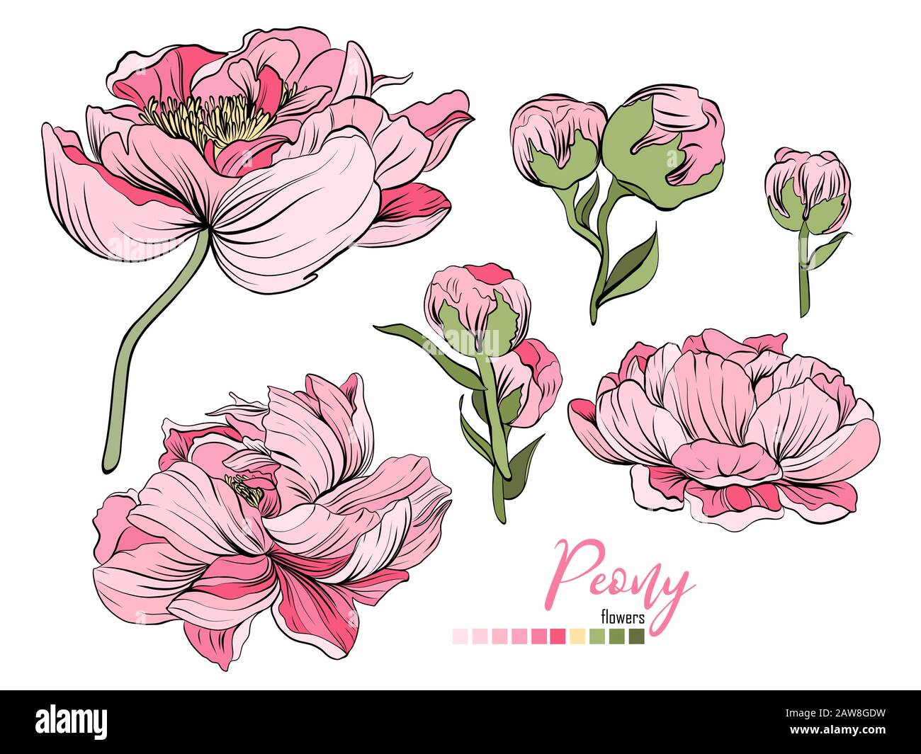 Vector floral bouquet design: garden pink peach lavender creamy powder ...