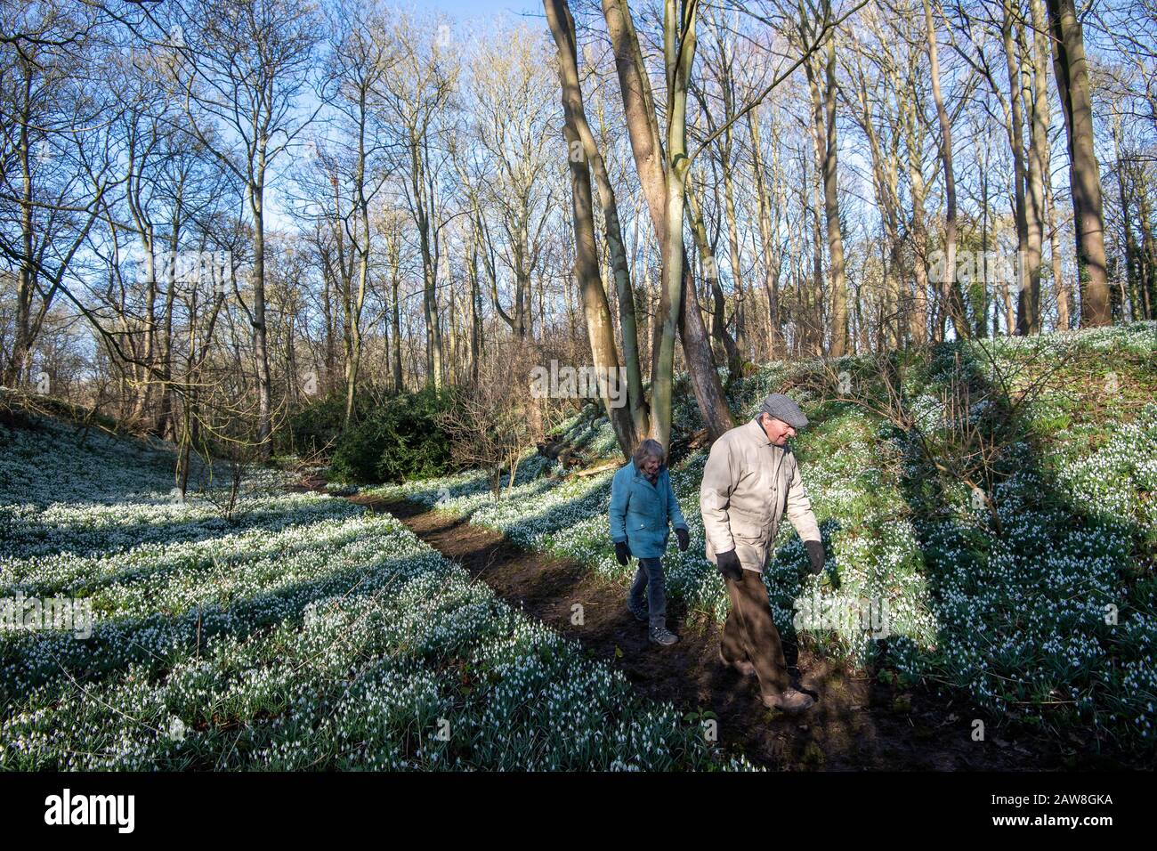 People walk amongst the snowdrops at Walsingham Abbey in Norfolk, which has been a place of pilgrimage since the Middle Ages and styles itself as 'England's Nazareth'. Stock Photo