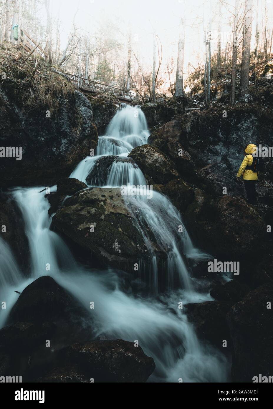 yellow waterfall jacket