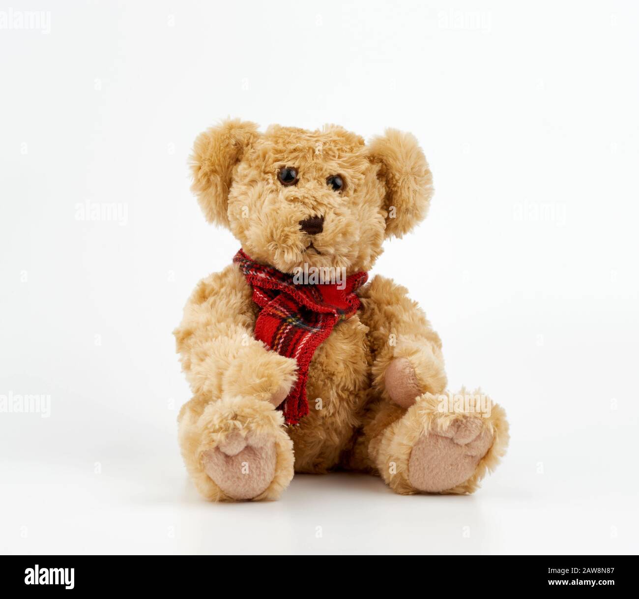 cute brown curly teddy bear in a red checkered scarf sitting on white ...