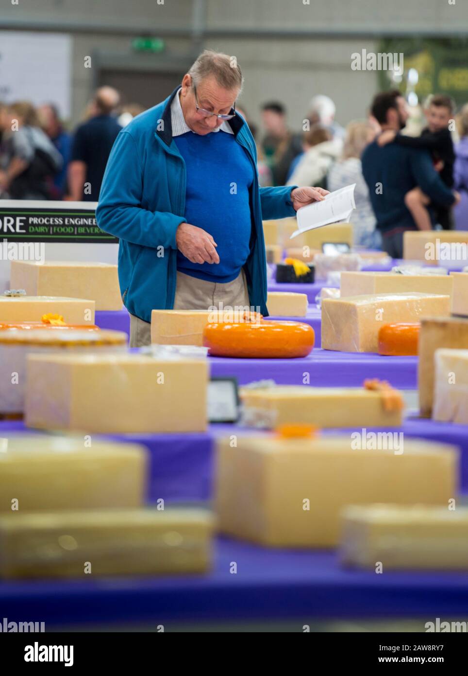 Competitiors are judged at Frome Cheese Show one of a number of Agricultural shows held in Somserset. Stock Photo