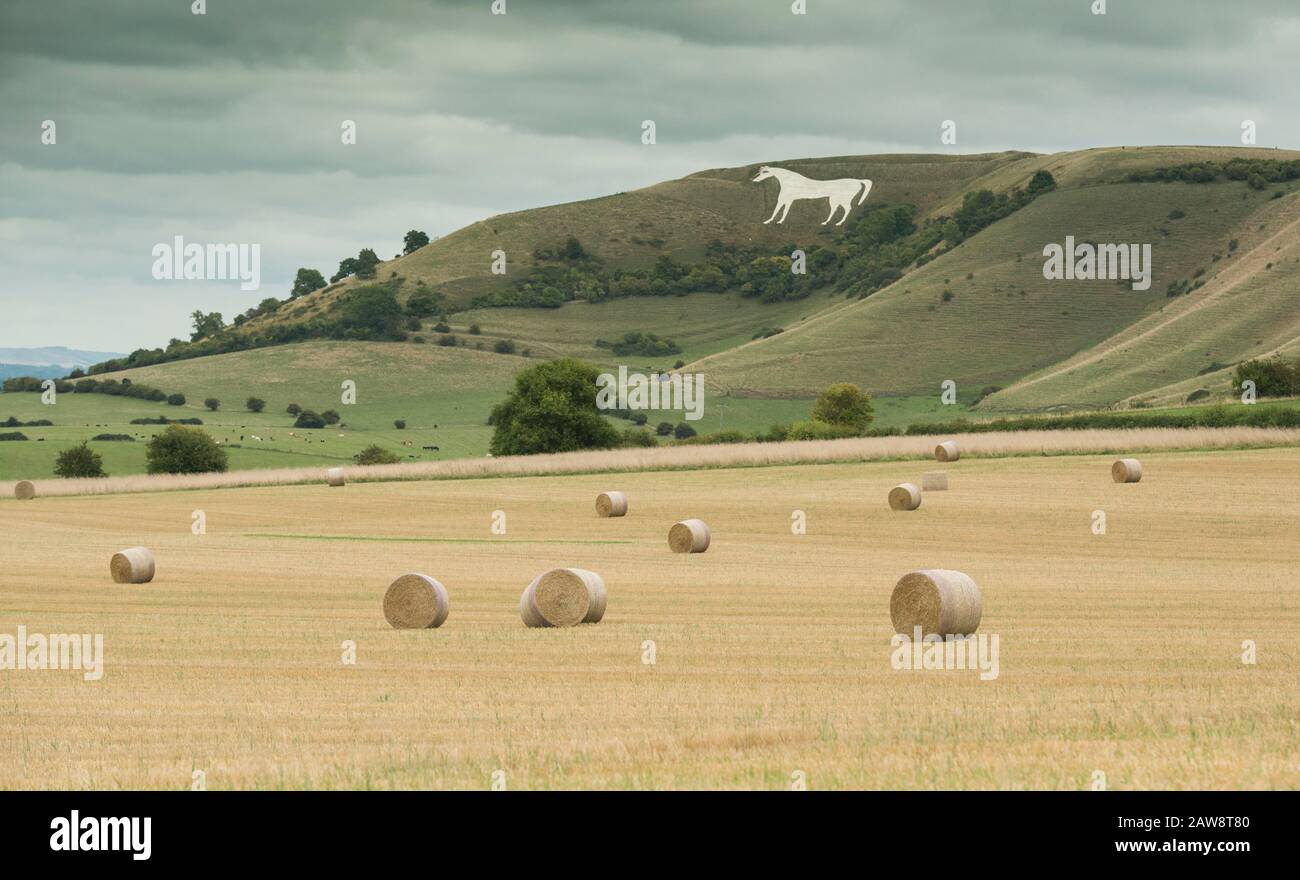 Farming around Westbury White Horse, Wiltshire Stock Photo