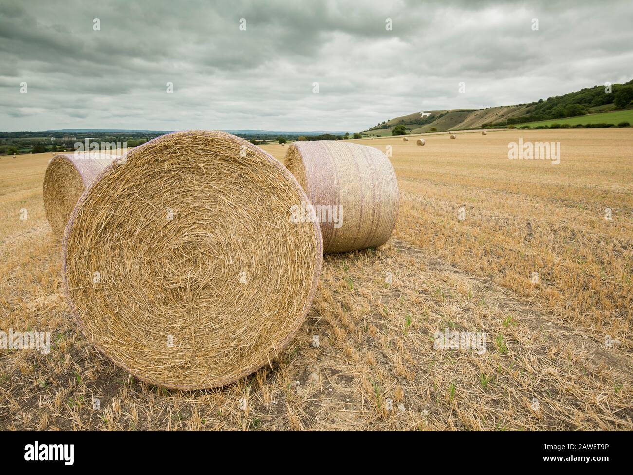 Farming around Westbury White Horse, Wiltshire Stock Photo