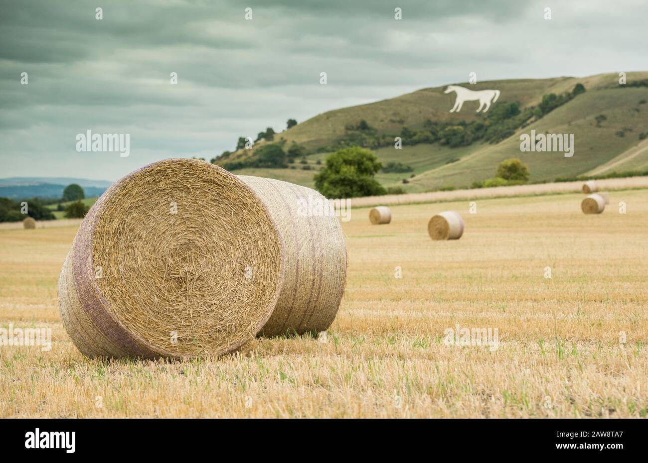 Farming around Westbury White Horse, Wiltshire Stock Photo