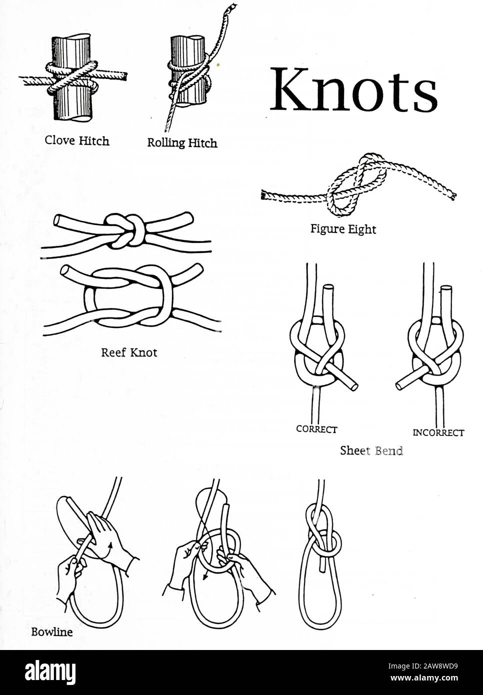 Illustration of a Set of nautical knots with names clove hitch, rolling hitch, reef knot, Sheet bend, bowline and figure eight Stock Photo
