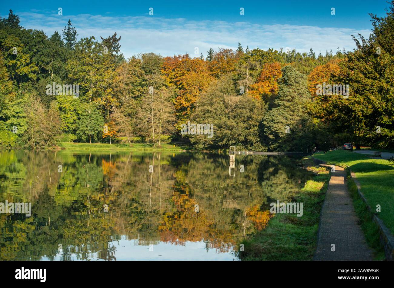 Autumn colours are starting to show at Shearwater lake, Warminster. Stock Photo