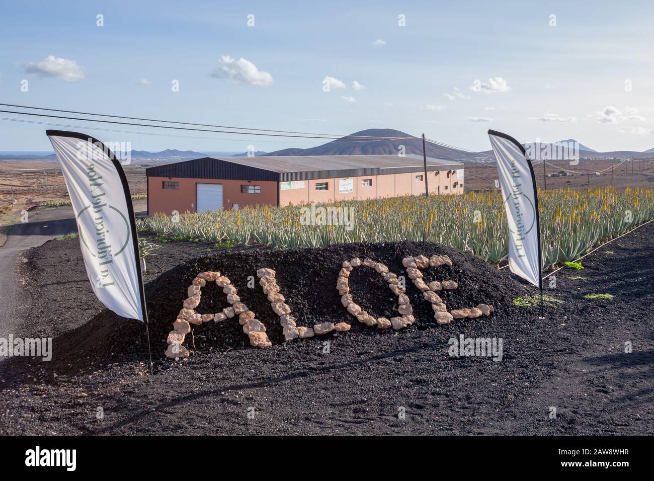 aloe vera trinksaft Innere Schönheit Trinkkur (8 Wochen) – KUMARI main image 1