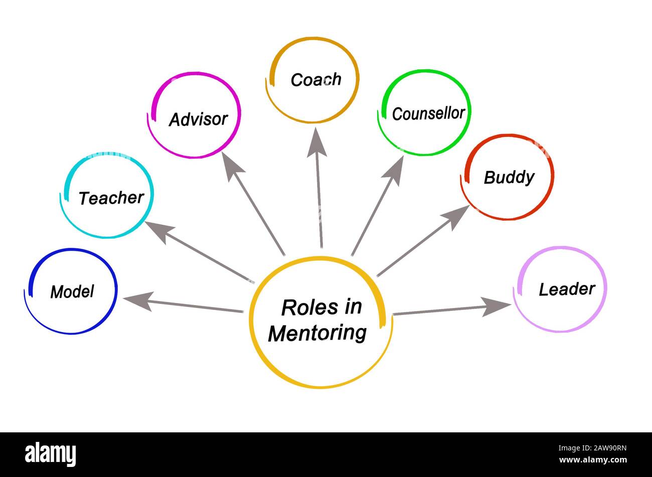 Seven Roles In Mentoring Stock Photo Alamy seven-roles-in-mentoring-stock-photo-alamy