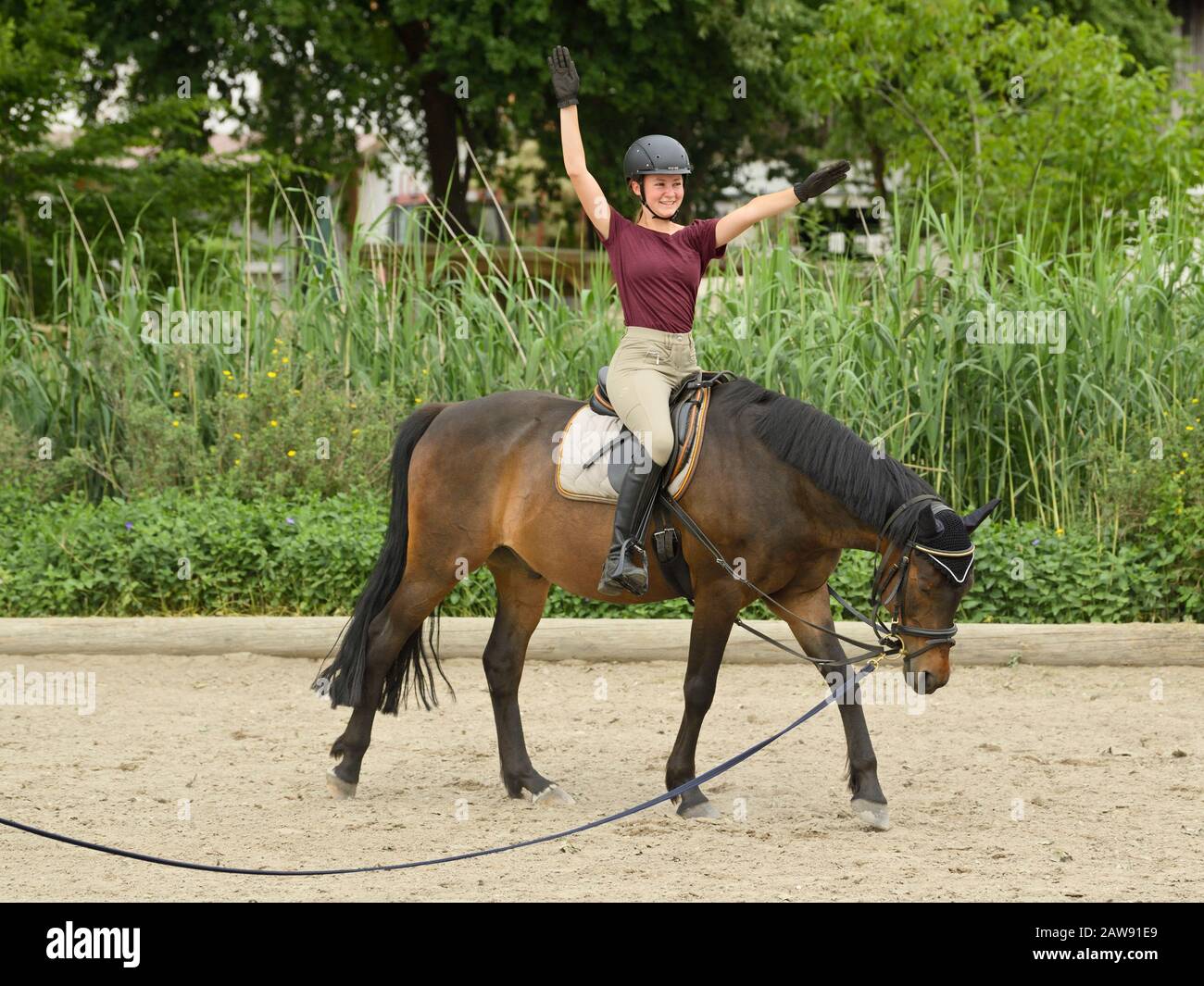 Lunge riding lesson, girl on German pony Stock Photo