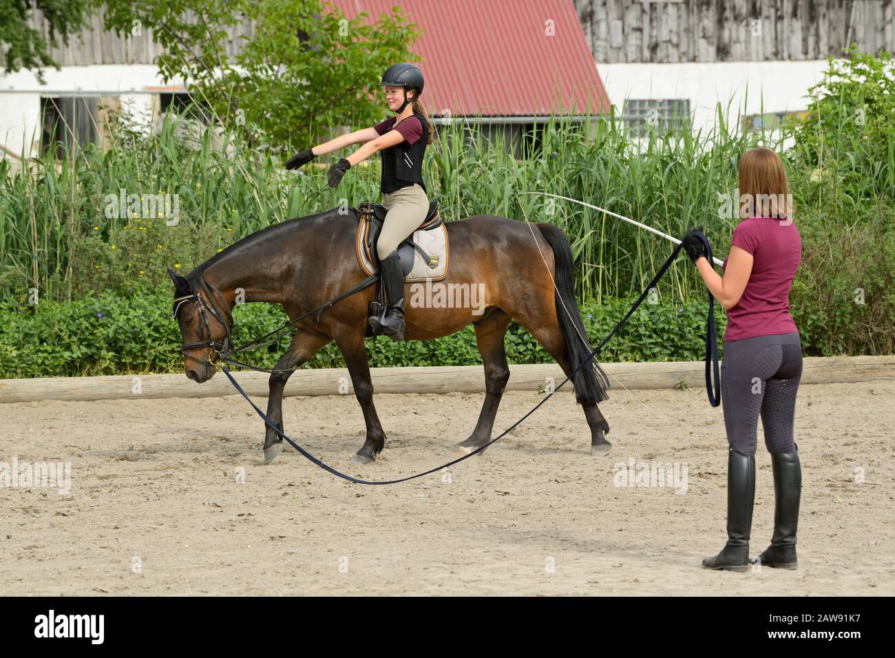 Lunge riding lesson, girl wearing helmet and a back protector riding on