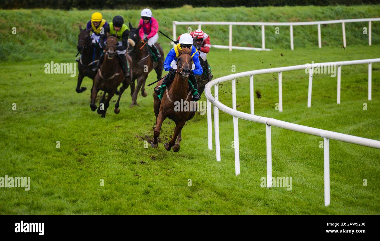 Winning Race horse and jockey taking the lead on the final furlongs of