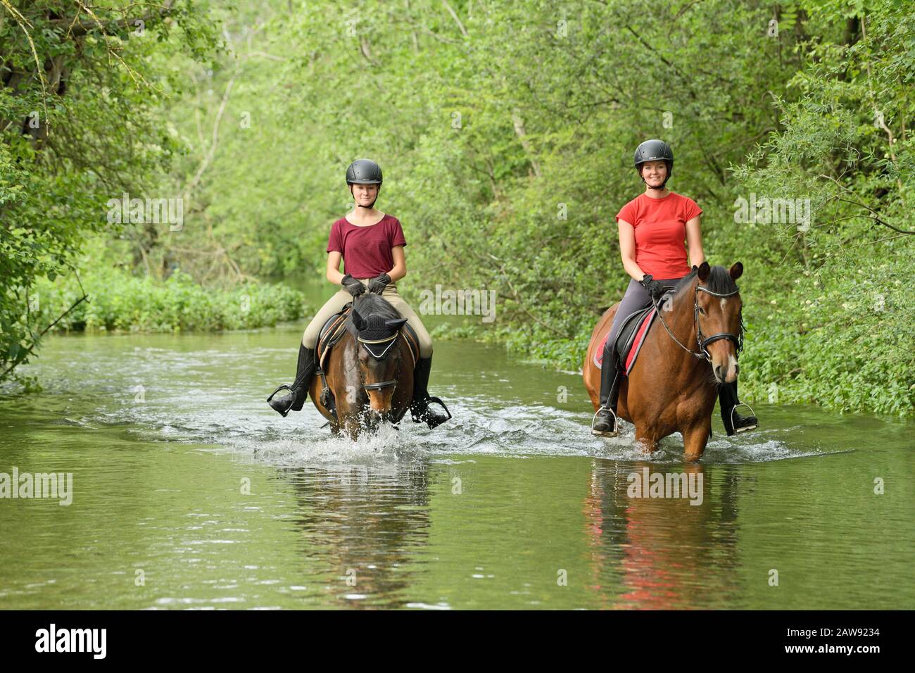 Stream Ponies Two riders on back of ponies riding in a stream Stock Photo - Alamy