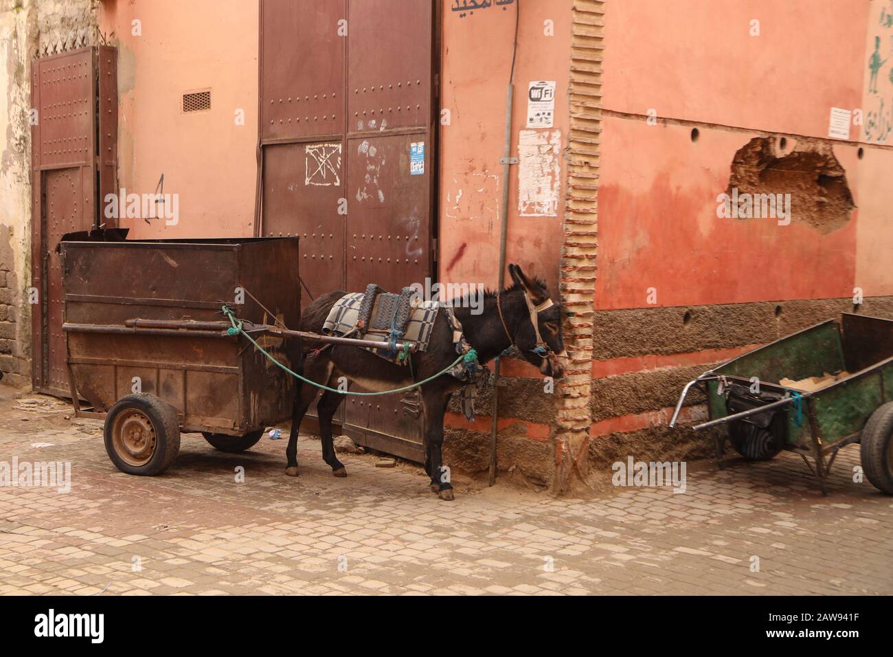 Donkey pulling cart Stock Photo Alamy
