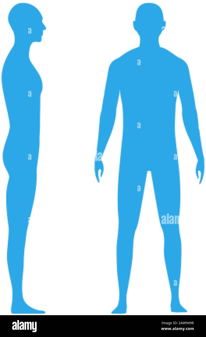 Front And Side View Human Body Silhouette Of An Adult Male Stock Vector Image Art Alamy