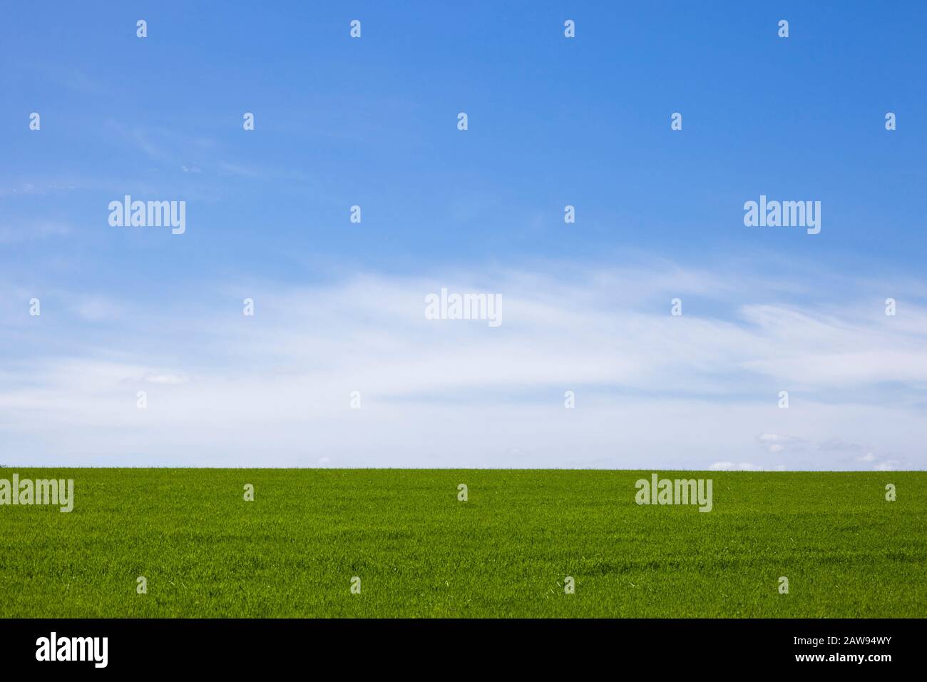 Green and blue backgrounds hi-res stock photography and images - Alamy