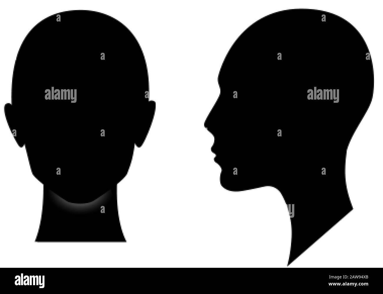 Front And Side View Silhouette Of A Woman Head Anonymous Female Person 