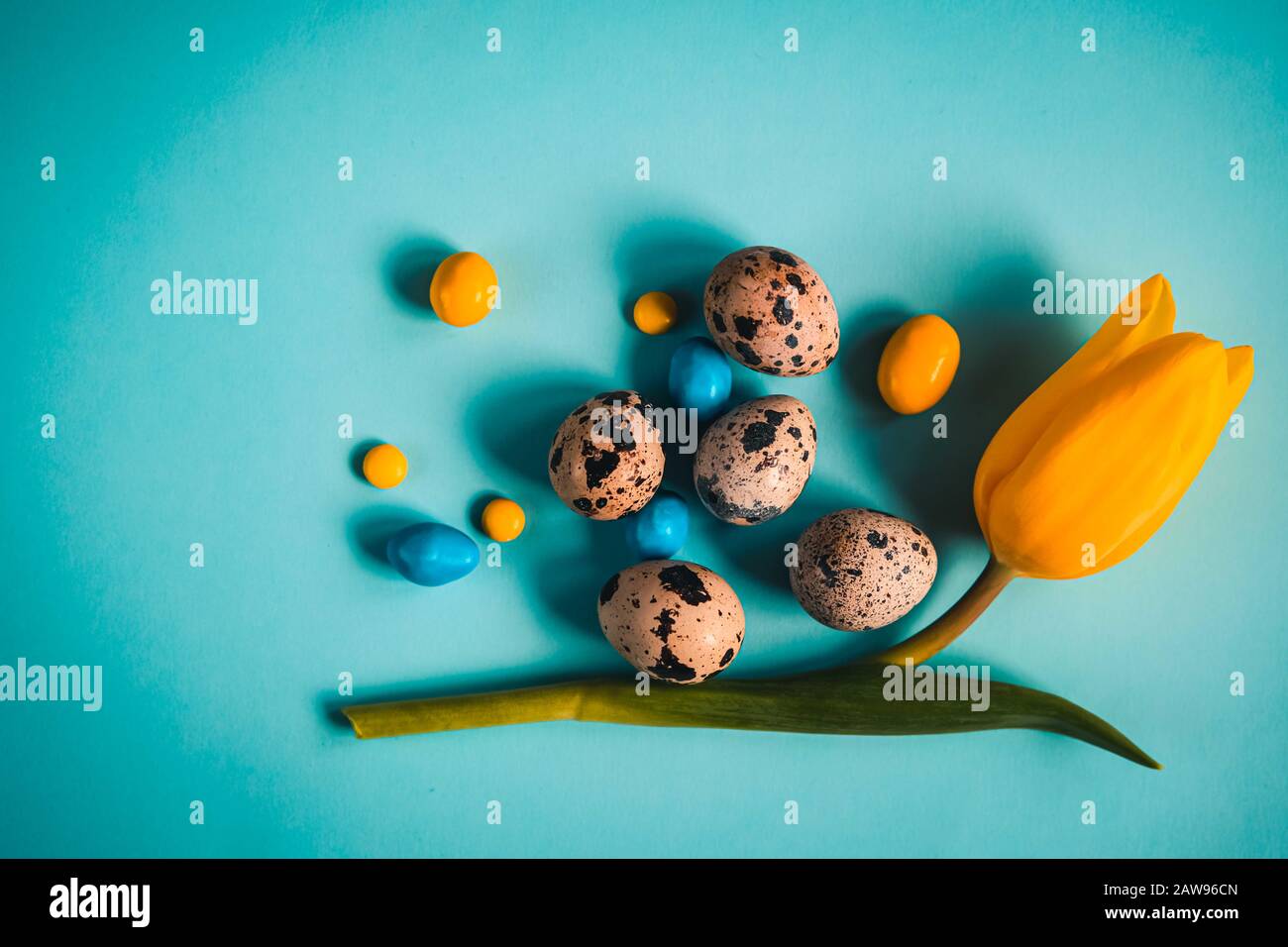 Blue spring and Easter background with quail eggs colorful candies and yellow tulips. Top view with copy space Stock Photo