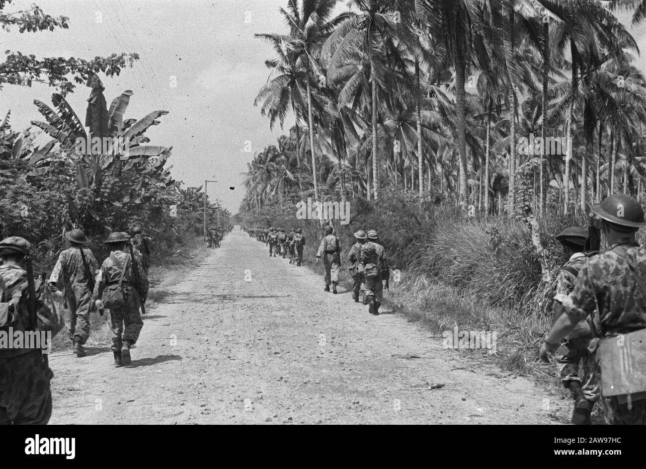 Loeboek Pakem and Baoengan  snatch Dutch infantrymen along a road through a palm oil plantation Date: July 29, 1948 Location: Indonesia, Dutch East Indies, Sumatra Stock Photo