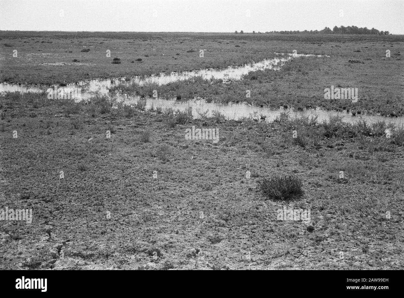Natural open grass land Black and White Stock Photos & Images - Alamy