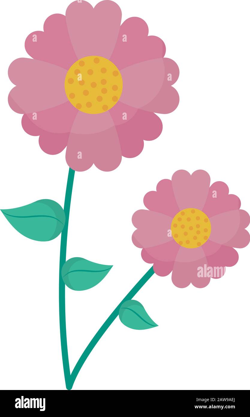 Isolated natural pink flowers vector design Stock Vector Image & Art ...