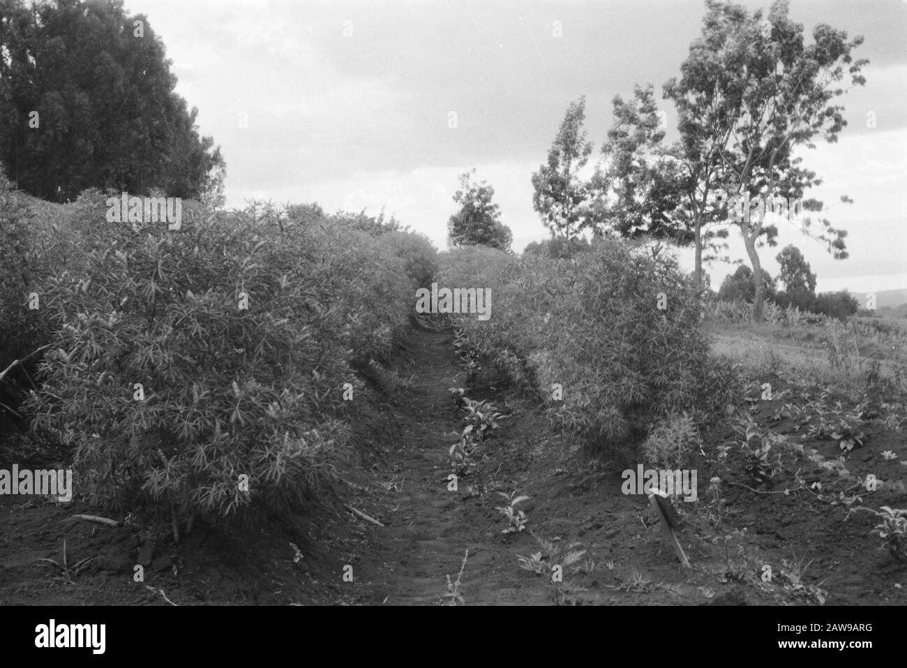 Nature scenic Black and White Stock Photos & Images - Alamy