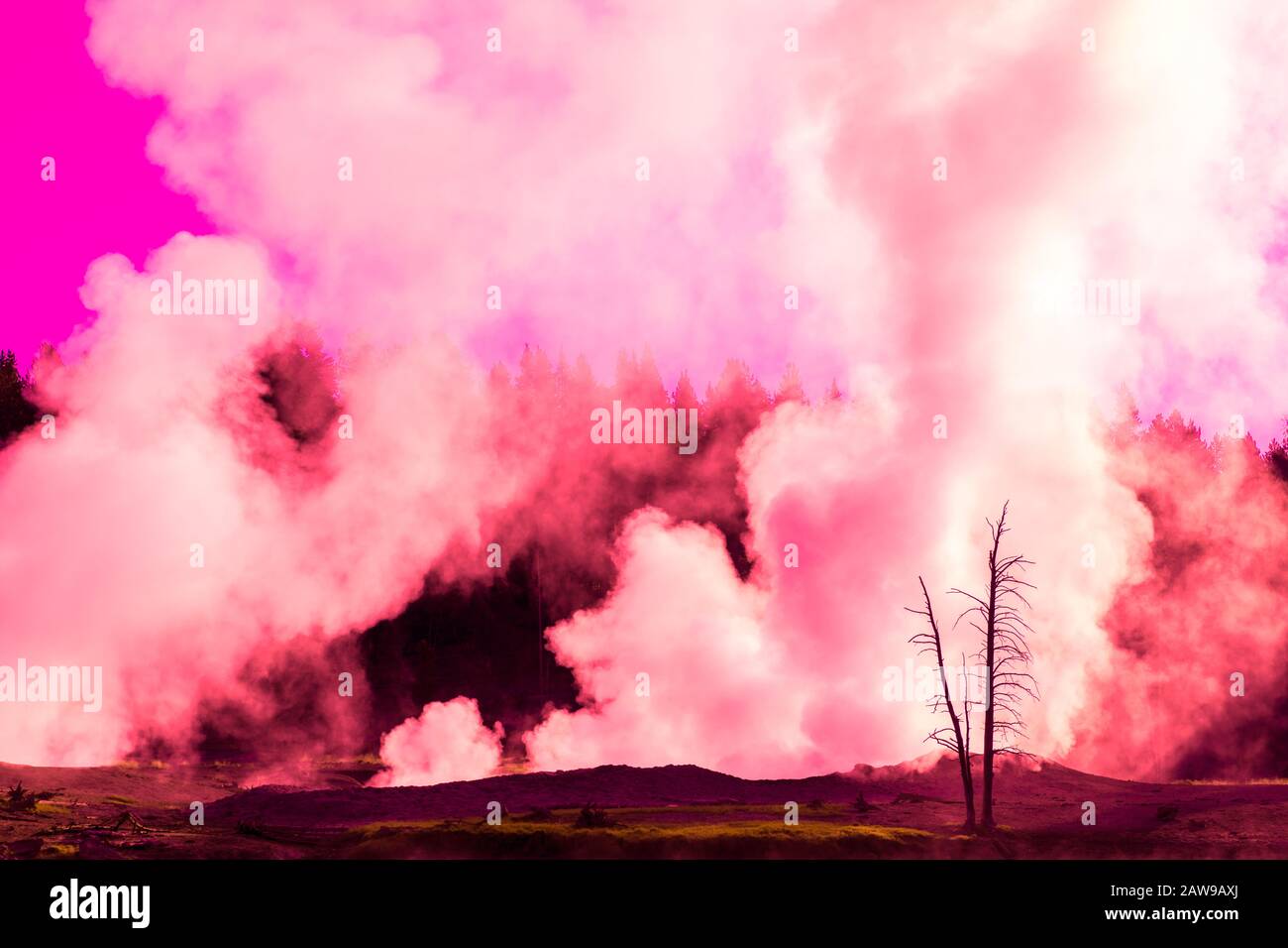 Fog rising from the geysers in the morning, Yellowstone National Park Stock Photo