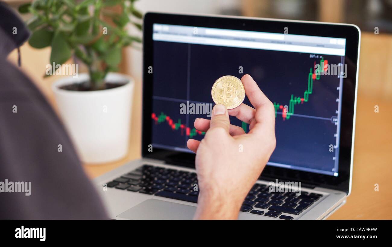 man checking cryptocurrency chart and bitcoin coins on a laptop Stock Photo  - Alamy