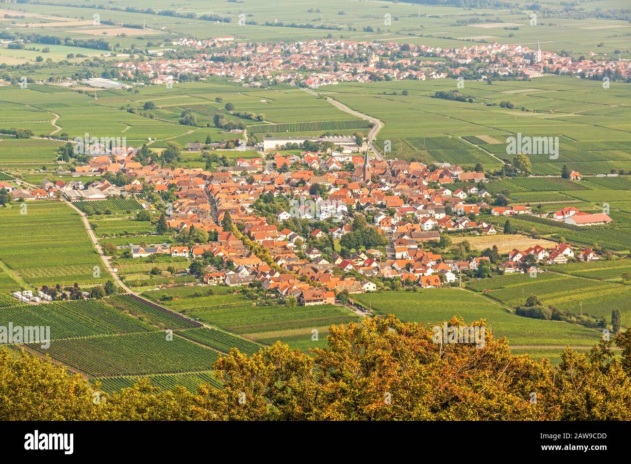 Region Suedliche Weinstrasse (southern wine route) - village named Rhodt unter Rietburg - aerial view from Rietburg ruin Stock Photo