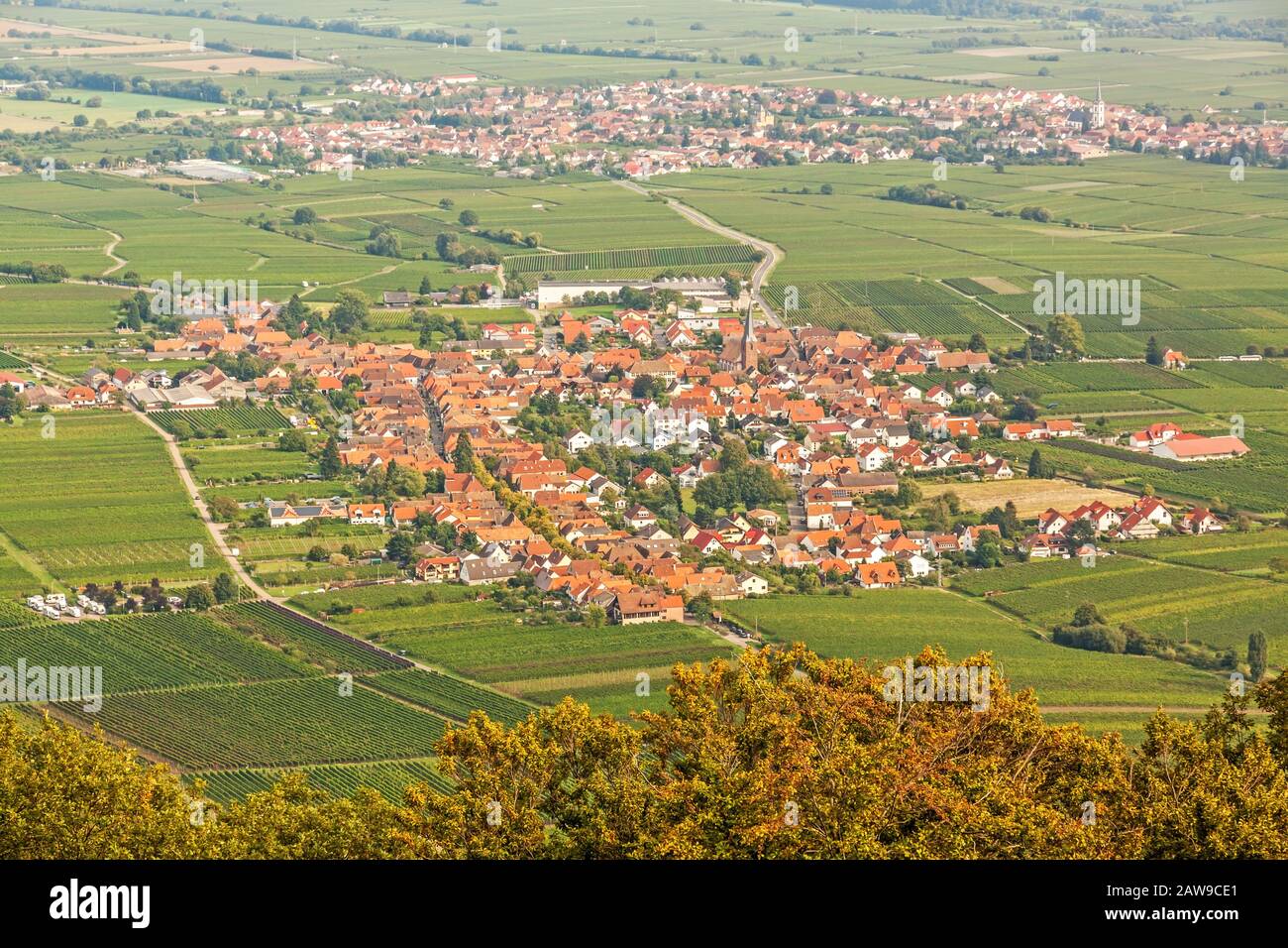 Region Suedliche Weinstrasse (southern wine route) - village named Rhodt unter Rietburg - aerial view from Rietburg ruin Stock Photo