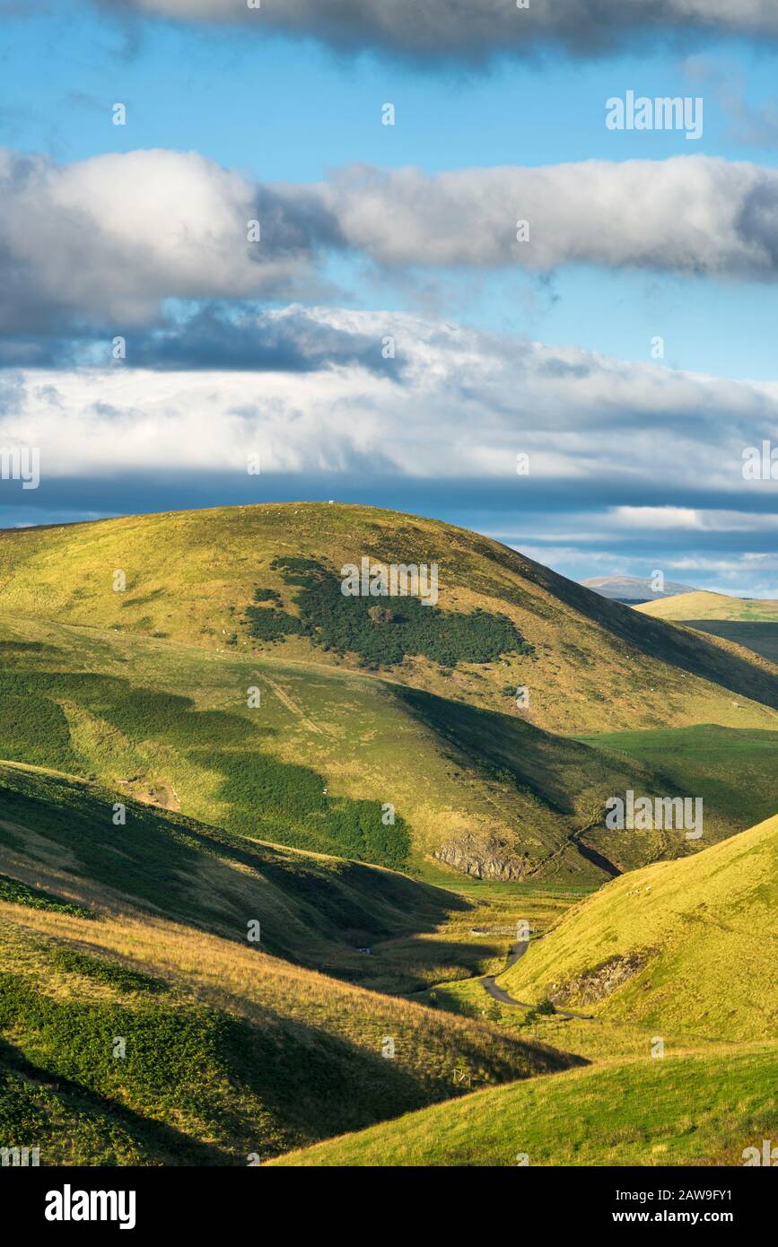 Broadside Law in Upper Coquetdale, Northumberland National Park, England Stock Photo
