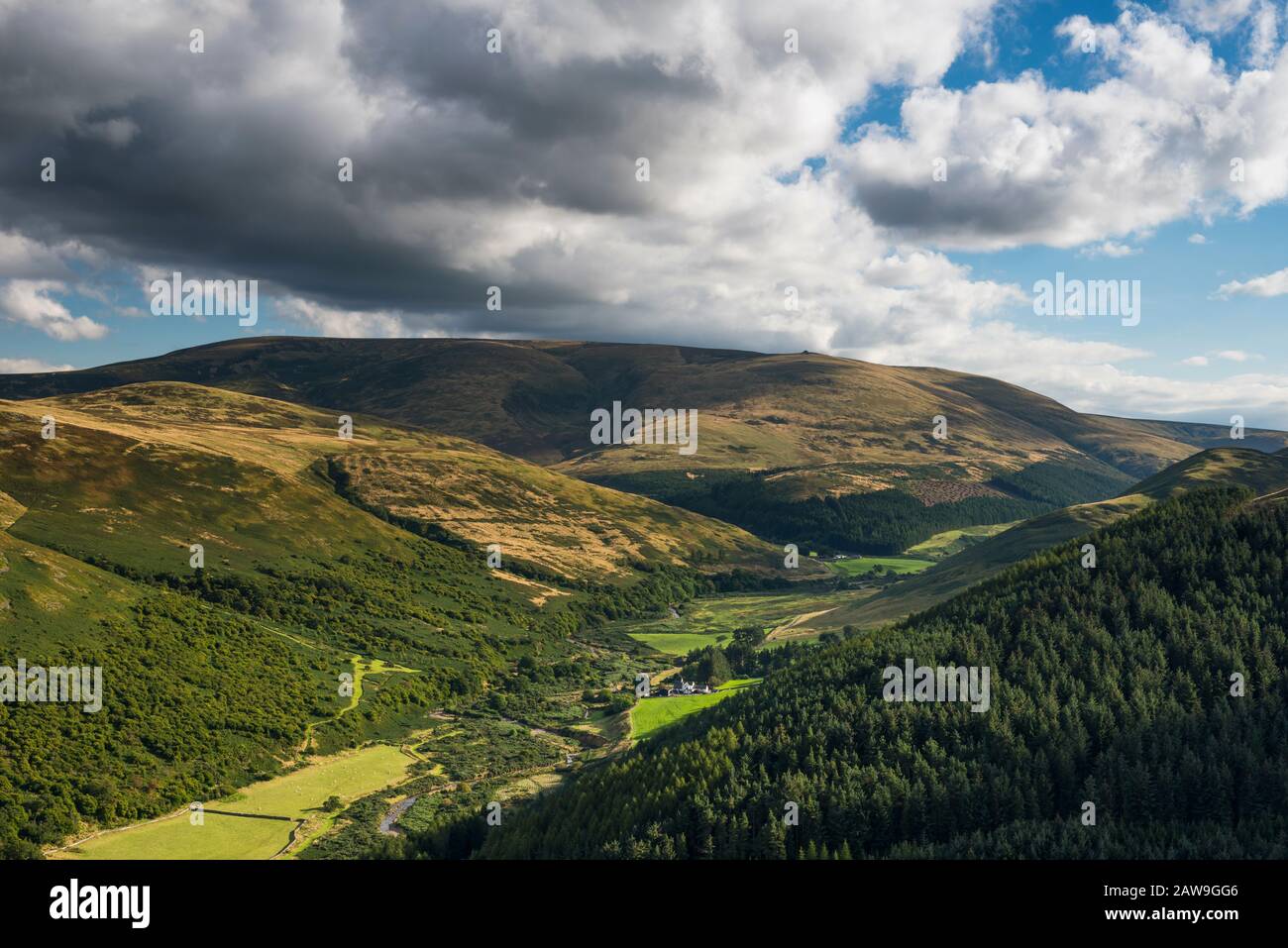 The College Valley and Cheviot from the summit of Great Hetha, Northumberland National Park, England Stock Photo