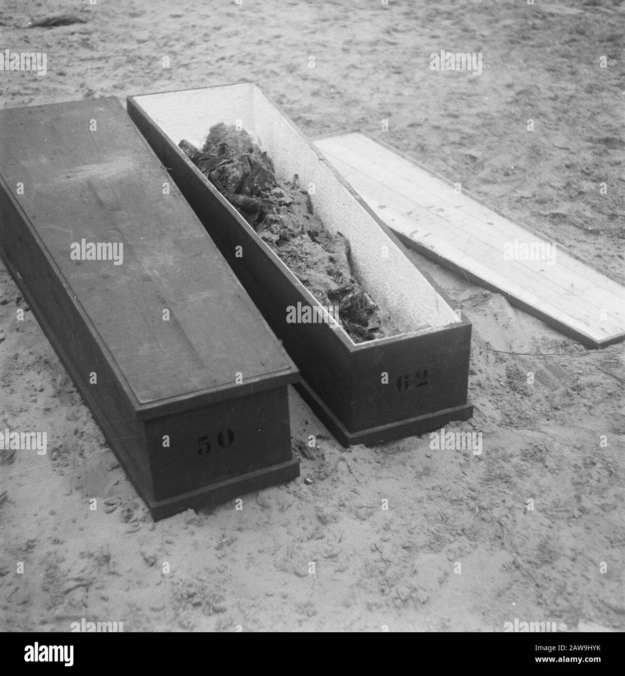 Mass Grave to Waalsdorp  Mass Grave to Waalsdorp. Corpse in a coffin Date: August 1945 Location: The Hague, South Holland Keywords: corpses, mass graves, ruins, World War II Stock Photo