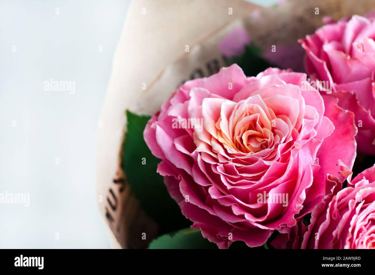 Rose Petals Falling On Black Images – Browse 4,947 Stock Photos, Vectors,  and Video