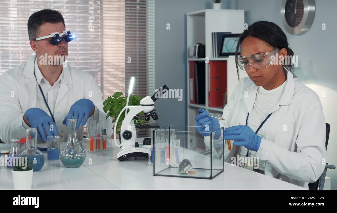 Black female research scientist making experiment with hamster in