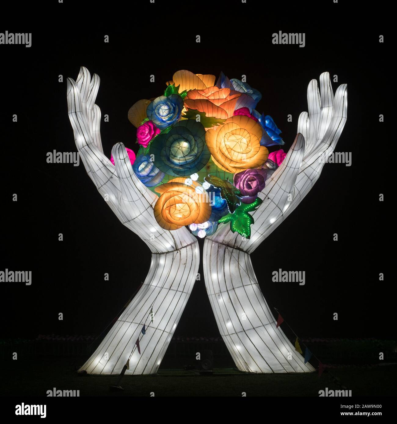 A bright light cupped hands with flowers dispplay exhibit Chiswick House and Gardens Lightopia lights festival show 2020 after dark at night in winter Stock Photo