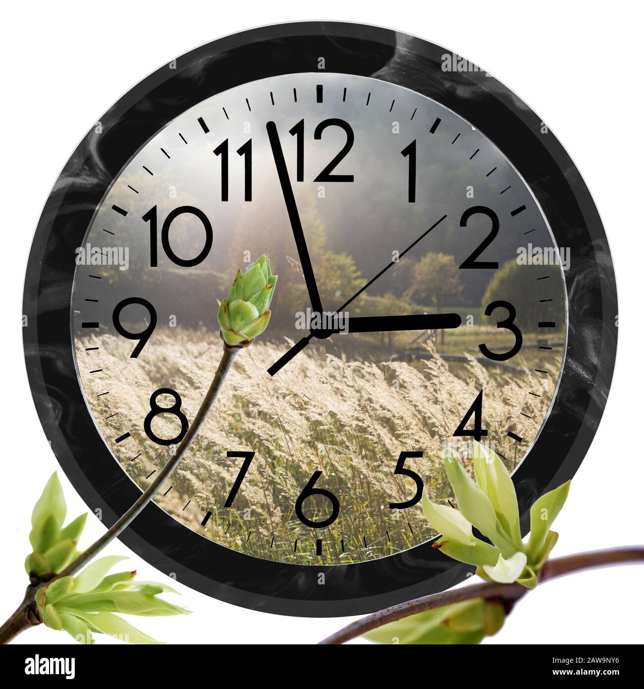 Daylight Saving Time (DST). Wall Clock going to summer time (+1). Turn time forward Stock Photo