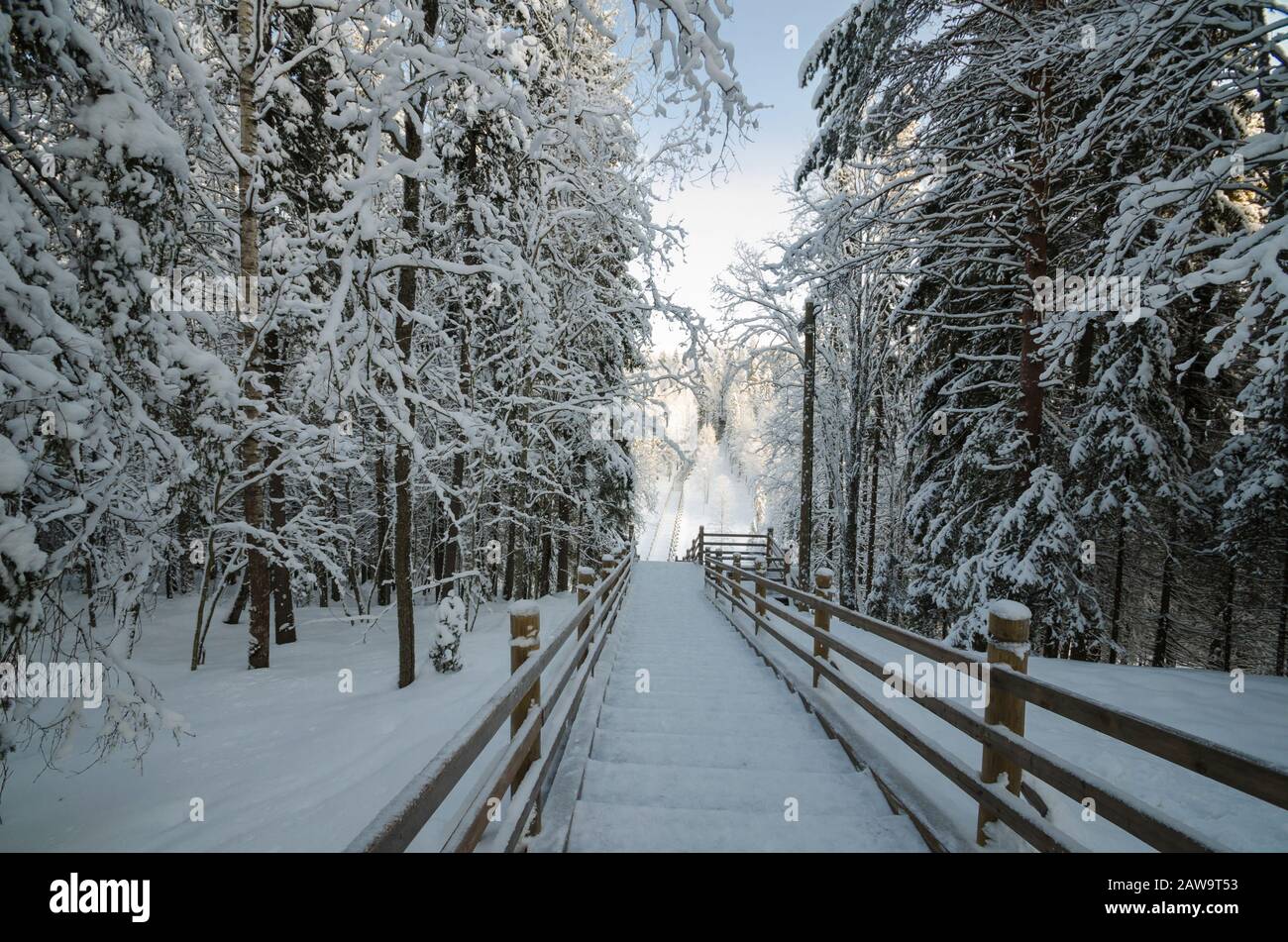 Large wooden staircase in a winter park. Beautiful winter landscape Stock Photo