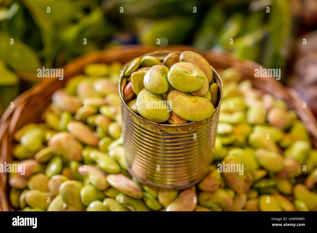 Green kidney beans in tin can, local market Stock Photo