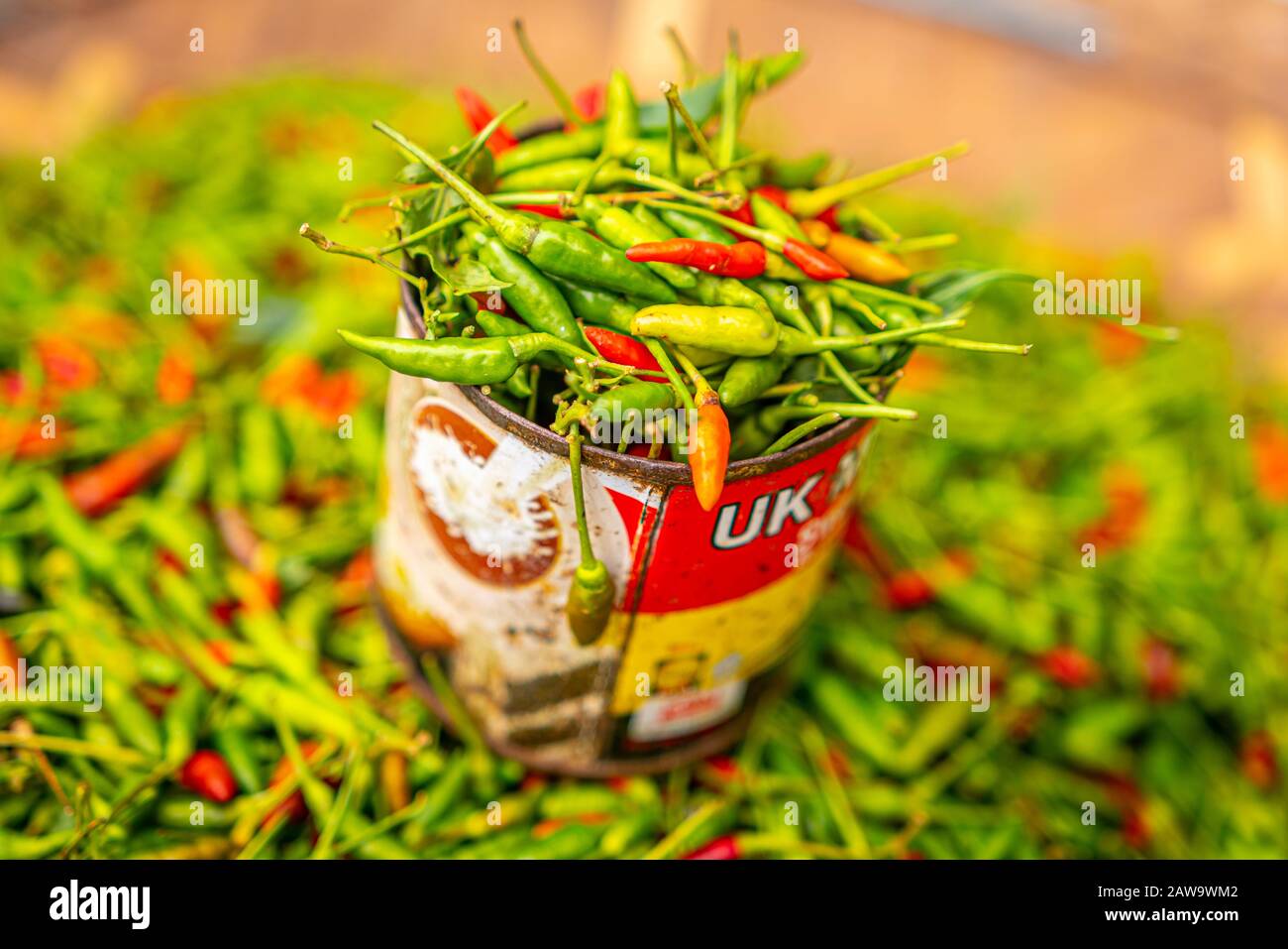 Red and green chili pepper in tin can, local organic market Stock Photo