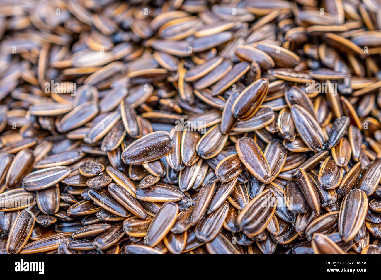 Organic, sweet and nutty sunflower seeds in shell Stock Photo