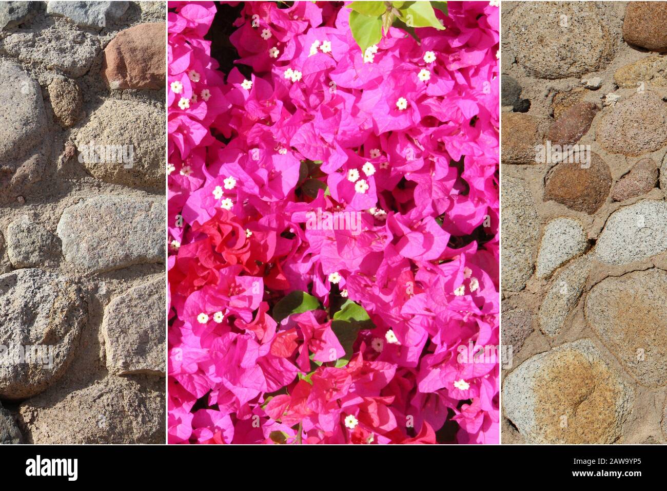 Different, beautiful textures in one collage Stock Photo